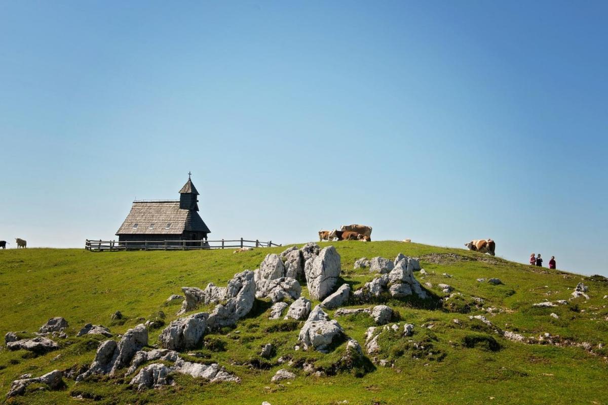 Koca Predilnica Velika Planina Villa Kamniska Bistrica Exteriör bild