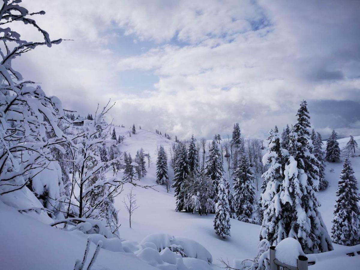Koca Predilnica Velika Planina Villa Kamniska Bistrica Exteriör bild