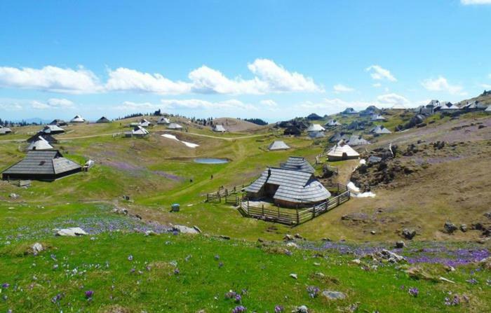 Koca Predilnica Velika Planina Villa Kamniska Bistrica Exteriör bild