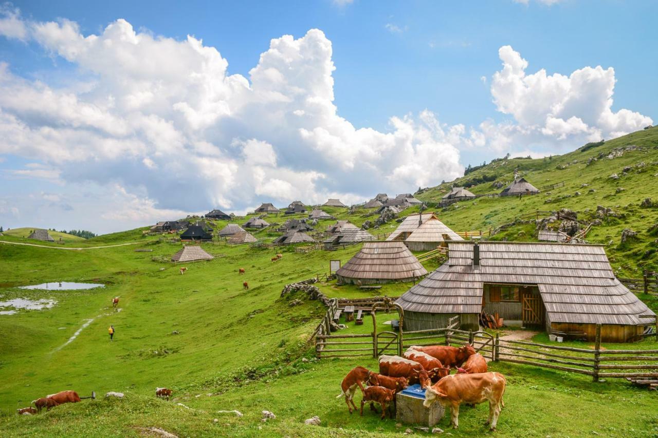 Koca Predilnica Velika Planina Villa Kamniska Bistrica Exteriör bild